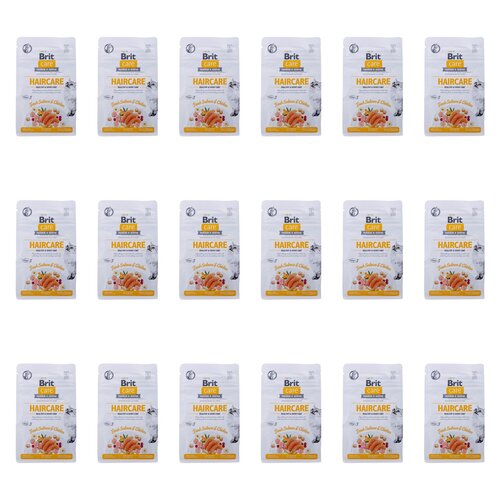Karma dla kota BRIT CARE Cat Grain Free Haircare Kurczak z łososiem 18 x 400 g