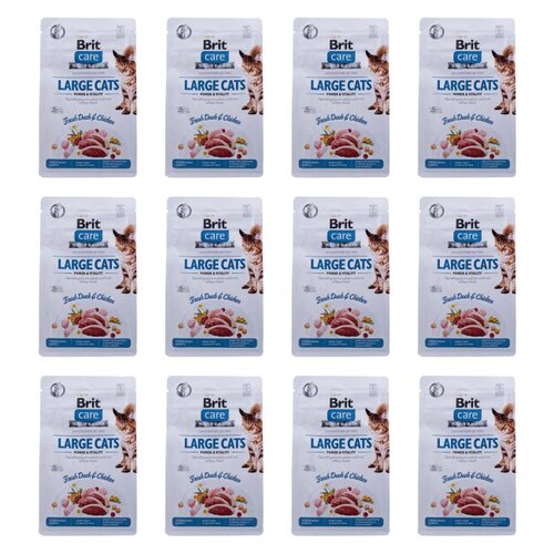 Karma dla kota BRIT Care Large Cats Power and Vitality Świeża Kaczka i Kurczak 12 x 400 g