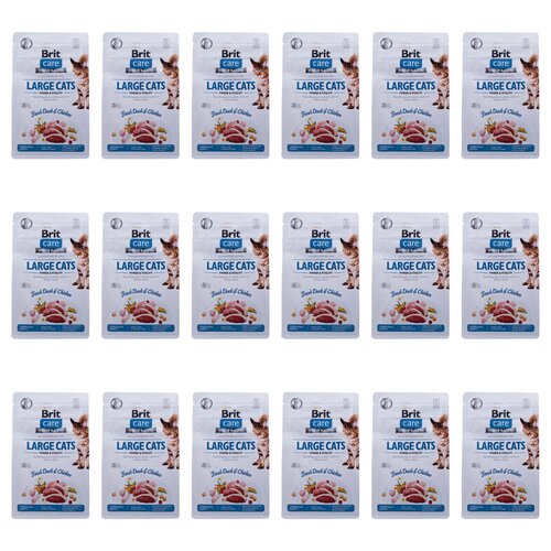 Karma dla kota BRIT Care Large Cats Power & Vitality Świeża Kaczka i Kurczak 18 x 400 g