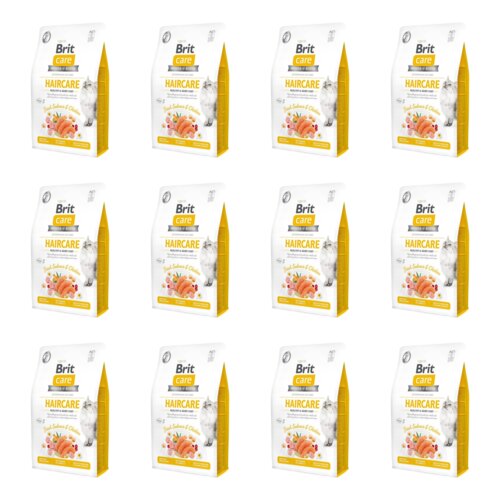 Karma dla kota BRIT CARE Grain Free Haircare Healhy & Shiny Coat Kurczak z łososiem 12 x 2 kg