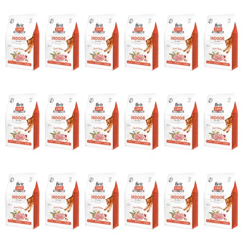 Karma dla kota BRIT CARE Cat Grain Free Indoor Kurczak 18 x 2 kg
