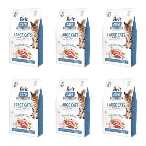 Karma dla kota BRIT Care Large Cats Power & Vitality Świeża Kaczka i Kurczak 6 x 2 kg