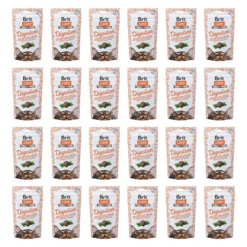 Przysmak dla kota BRIT Care Snack Digestion 24 x 50 g