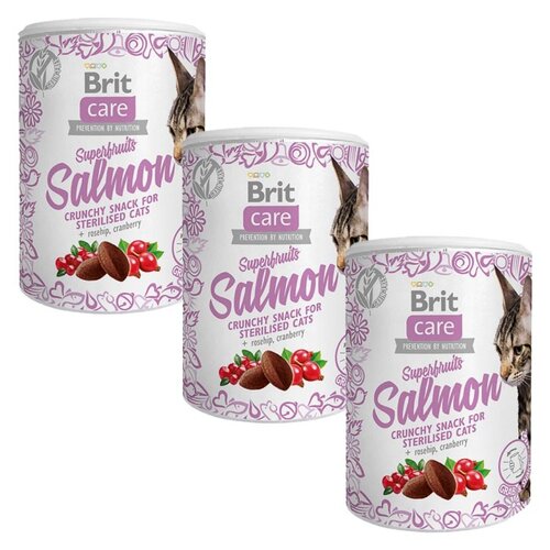 Przysmak dla kota BRIT CARE Snack Superfruits Salmon 3 x 100 g