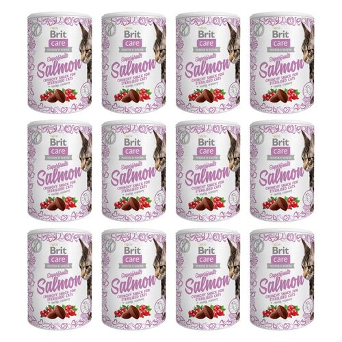 Przysmak dla kota BRIT CARE Snack Superfruits Salmon 12 x 100 g