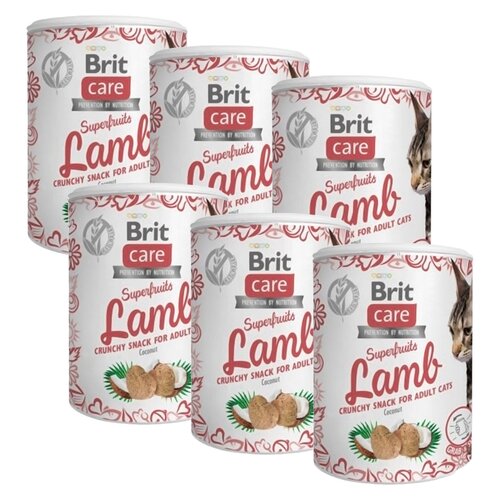 Przysmak dla kota BRIT CARE Cat Jagnięcina z kokosem 6 x 100 g