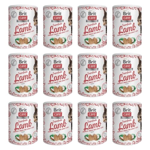 Przysmak dla kota BRIT CARE Cat Jagnięcina z kokosem 12 x 100 g