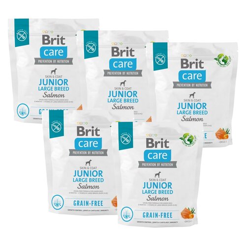 Karma dla psa BRIT CARE Dog Grain-Free Junior Large Breed Łosoś i ziemniaki 5 x 1 kg