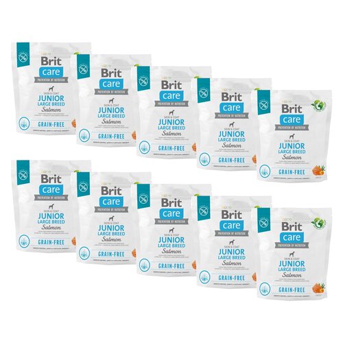 Karma dla psa BRIT CARE Dog Grain-Free Junior Large Breed Łosoś i ziemniaki 10 x 1 kg