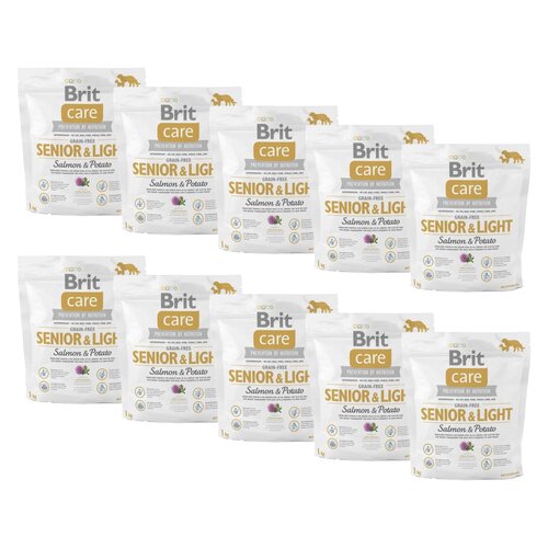 Karma dla psa BRIT CARE Dog Grain-Free Senior & Light Łosoś i ziemniak 10 x 1 kg