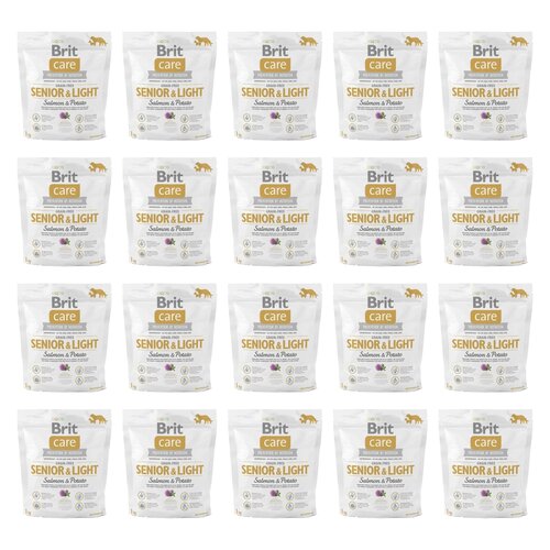 Karma dla psa BRIT  CARE Dog Grain-Free Senior & Light Łosoś  i ziemniak 20 x 1 kg