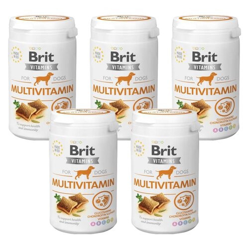 Przysmak dla psa BRIT Vitamins Multivitamin 5 x 150 g
