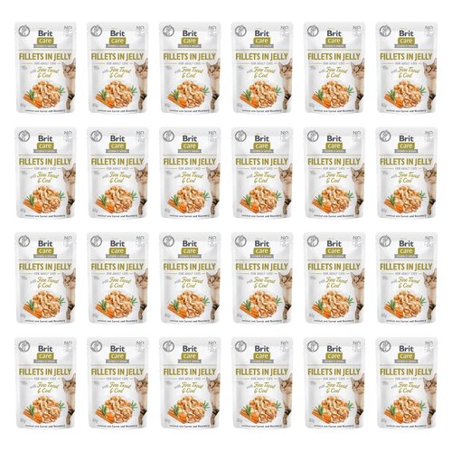 Karma dla kota BRIT CARE Fillets In Jelly Fine Trout&Cod 24 x 85 g