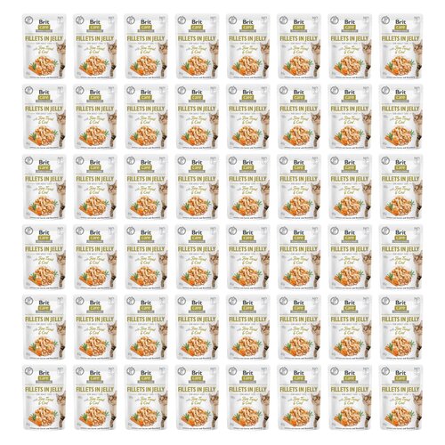 Karma dla kota BRIT CARE Fillets In Jelly Fine Trout&Cod 48 x 85 g