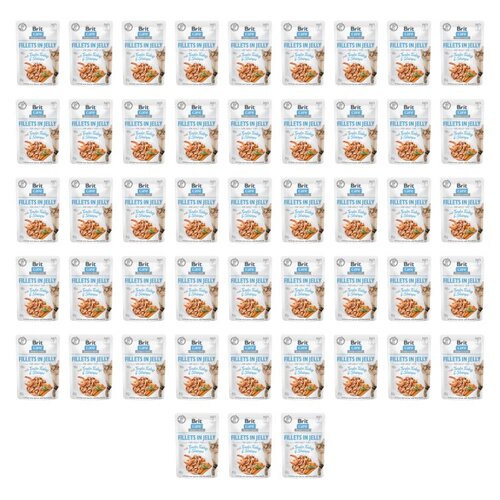 Karma dla kota BRIT CARE Fillets In Jelly Tender Turkey&Shrimps 48 x 85 g