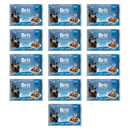 Karma dla kota BRIT Premium Cat Gravy Fillet Dinner Plate Mix Smaków 52 x 85 g