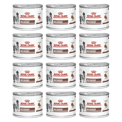 Przysmak dla psa BRIT CARE Dog Insect&Lamb 12 x 200 g