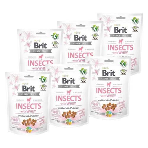 Przysmak dla psa BRIT CARE Dog Puppy Insects 6 x 200 g