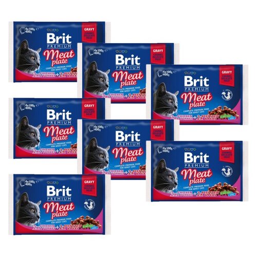 Karma dla kota BRIT Premium z mięsem 28 x 100 g