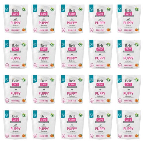 Karma dla psa BRIT Care Grain-Free Puppy Łosoś 20 x 1 kg