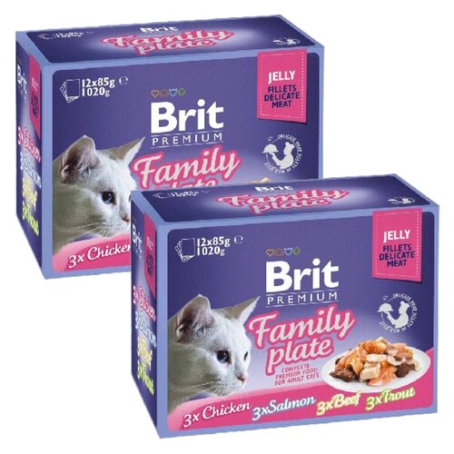 Karma dla kota BRIT Pouch Jelly Fillet Family Plate Mix smaków (24 x 85 g)