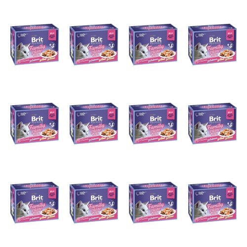 Karma dla kota BRIT Pouch Jelly Fillet Family Plate Mix smaków (144 x 85 g)