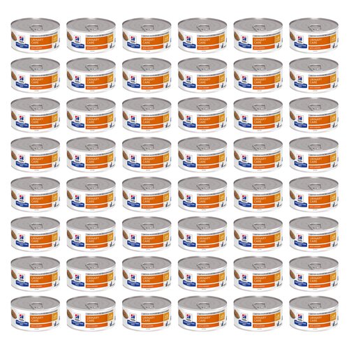 Karma dla kota HILL'S Prescription Diet Multicare c/d Kurczak 48 x 156 g