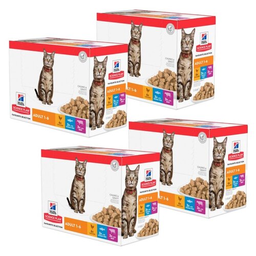 Karma dla kota HILL'S Feline Adult Multipack Classic 48 x 85 g