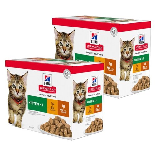 Karma dla kota HILL'S Science Plan Kitten Multipak Kurczak i Indyk 24 x 85 g