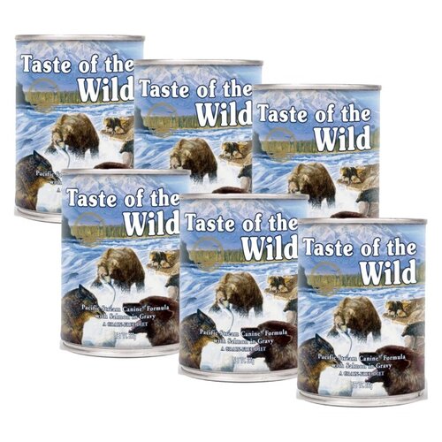 Karma dla psa TASTE OF THE WILD Pacific Stream Łosoś 6 x 390 g