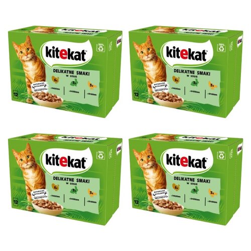 Karma dla kota KITEKAT Pou Delikatne Smaki 48 x 85 g