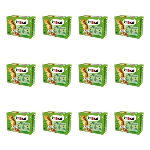 Karma dla kota KITEKAT Delikatne Smaki (144 x 85 g)