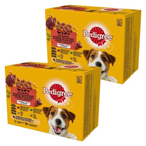 Karma dla psa PEDIGREE Vital Protection w Galaretce (24 x 100 g)