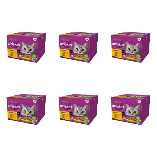 Karma dla kota WHISKAS Drobiowa Uczta Mix Smaków (144 x 85 g)