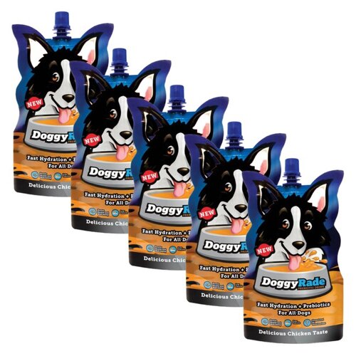 Suplement dla psa DOGGYRADE 5 x 250 ml