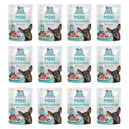 Karma dla kota PURINA PRO PLAN Healthy Start Kitten Kurczak 12 x 1.5 kg