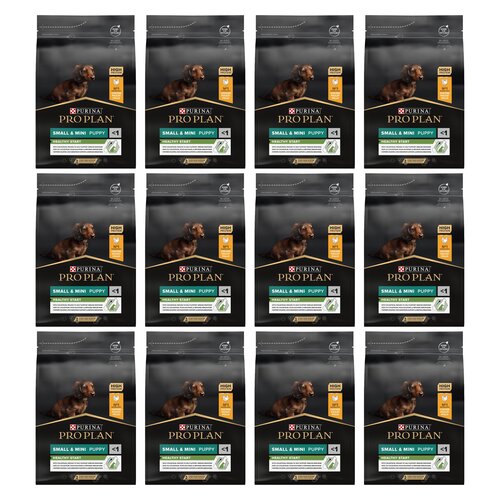 Karma dla psa PURINA Pro Plan Small & Mini Puppy Healthy Start Kurczak 12 x 3 kg