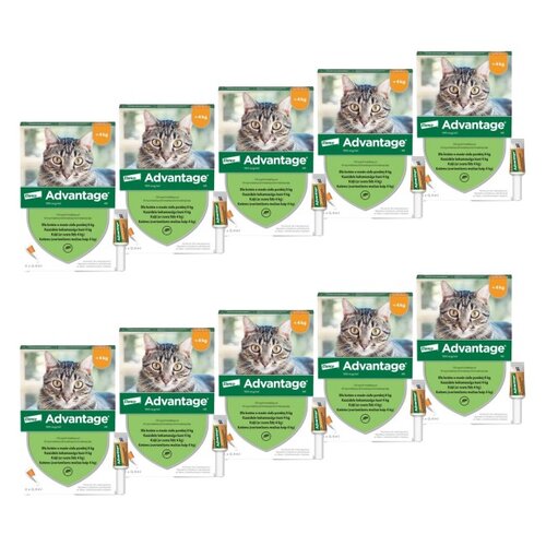 Krople na pchły BAYER Advantage Małe koty 40 x 0.4 ml