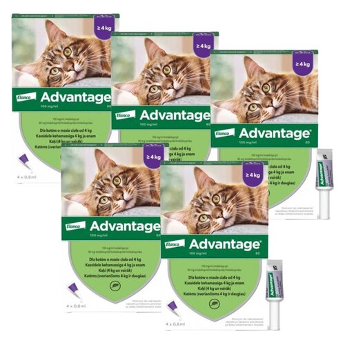 Krople na pchły BAYER Advantage Duże koty 20 x 0.8 ml