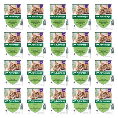 Krople na pchły BAYER Advantage Duże koty 80 x 0.8 ml